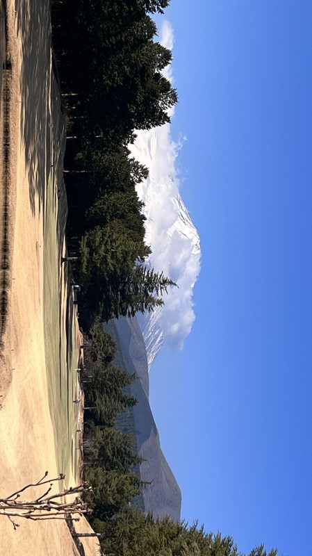 富士山に向かって飛んだけぇー⛳