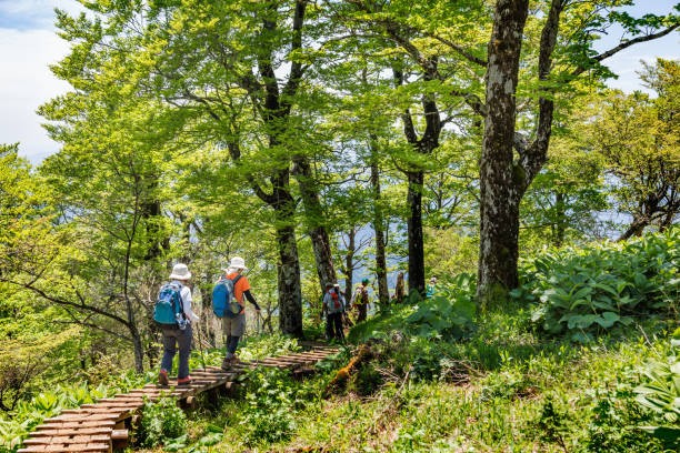 栃木県の登山をのんびり楽しもう