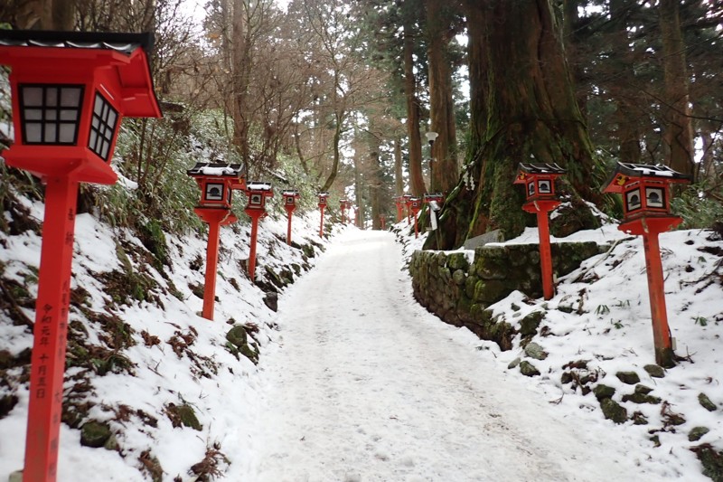 雪山体験☃金剛山