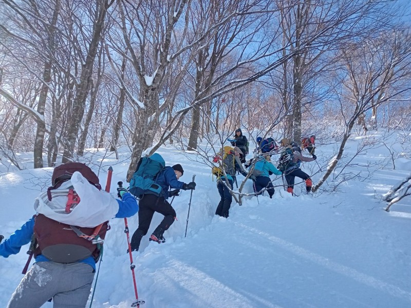 銀杏峯前山202501