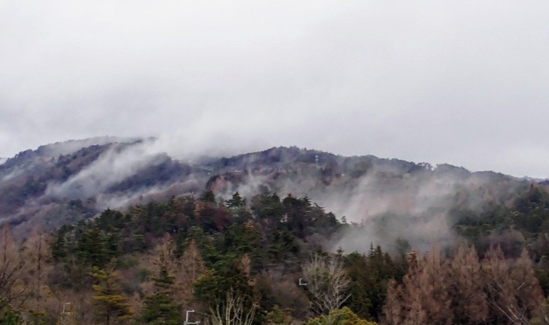 箕面の森🐾五月山　※初心者