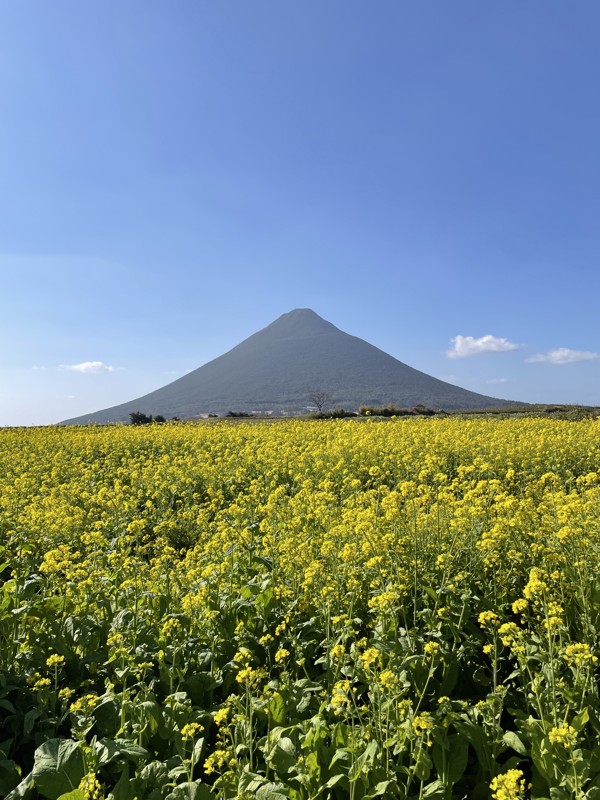 開聞岳