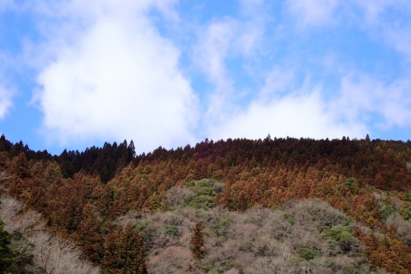 福知山線廃線ハイキング