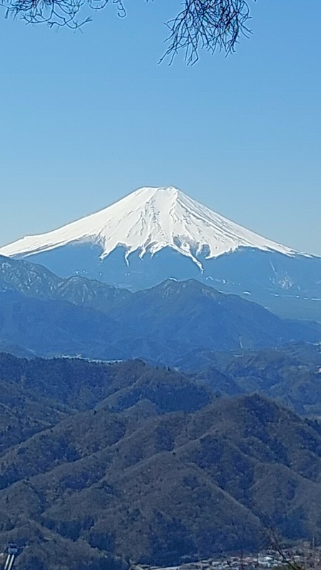 3/22 早起きして良かった