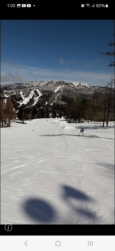 ｳｪﾌﾞﾊﾟ白鳥高原