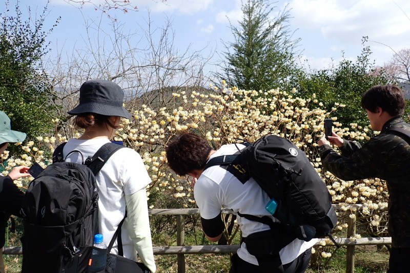 吉野山　※初中級者