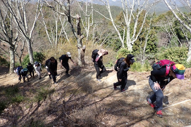 吉野山　※初中級者