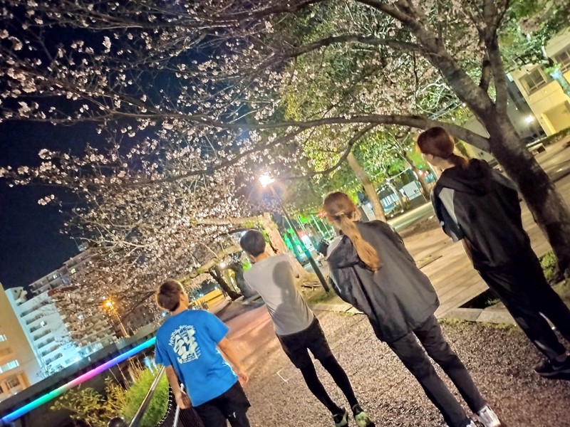 ランニングとお花見
