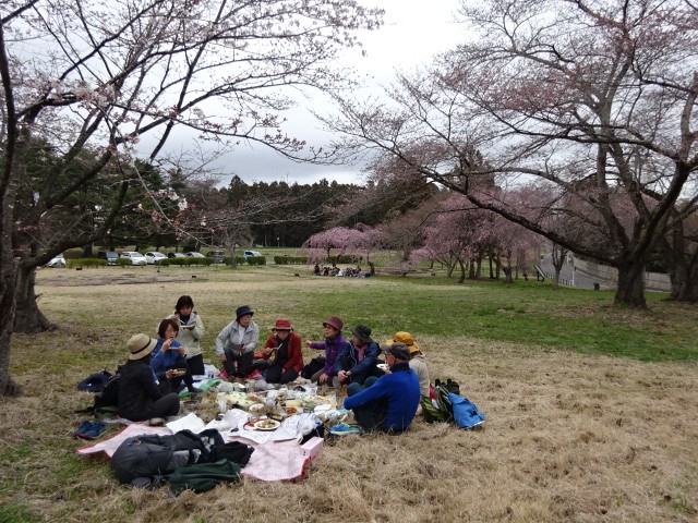 塩釜多賀城桜観る会　R6.4