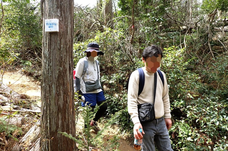 天王山ハイキング