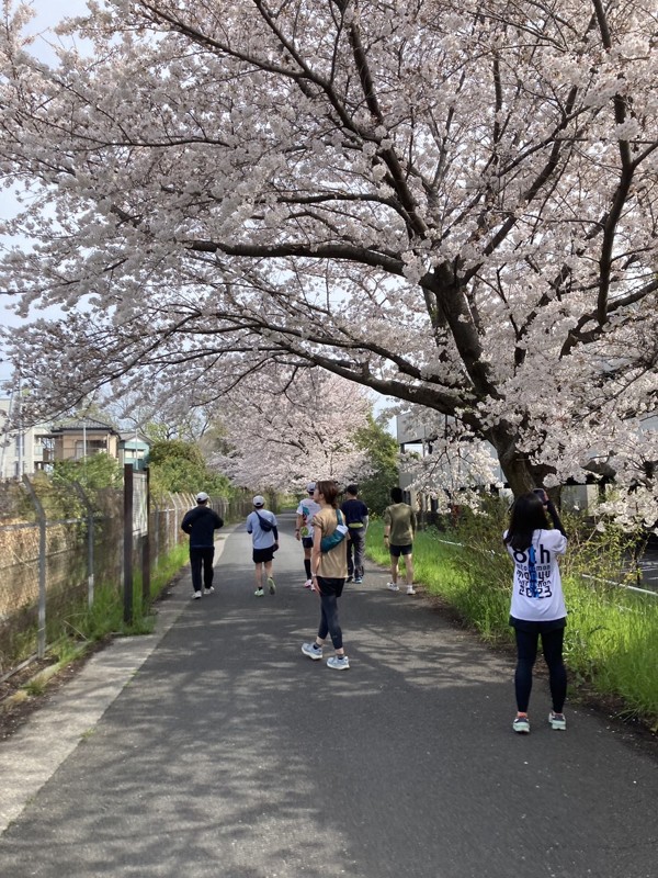 花見ランも行います