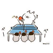 卓球仲間大募集中♪