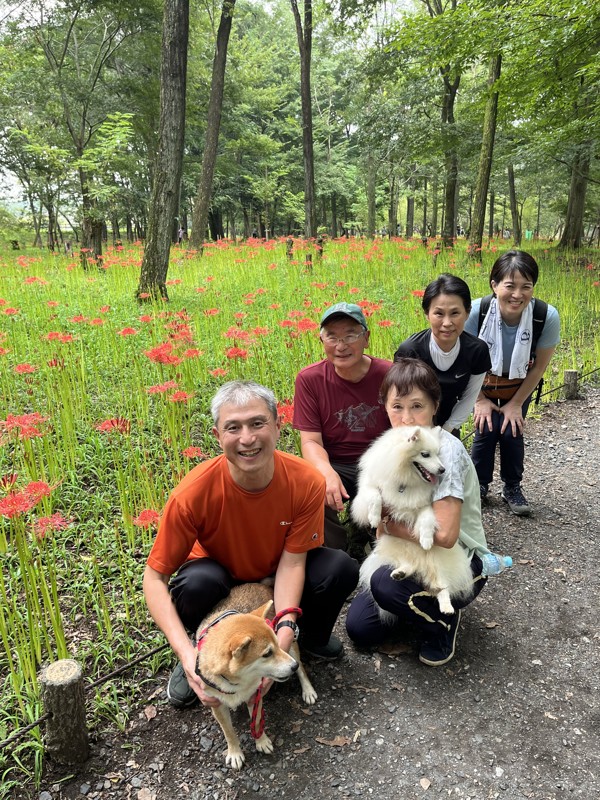 巾着田🌸日和田山も登ったよ⛰