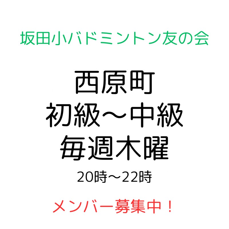 活動場所、レベルと活動日