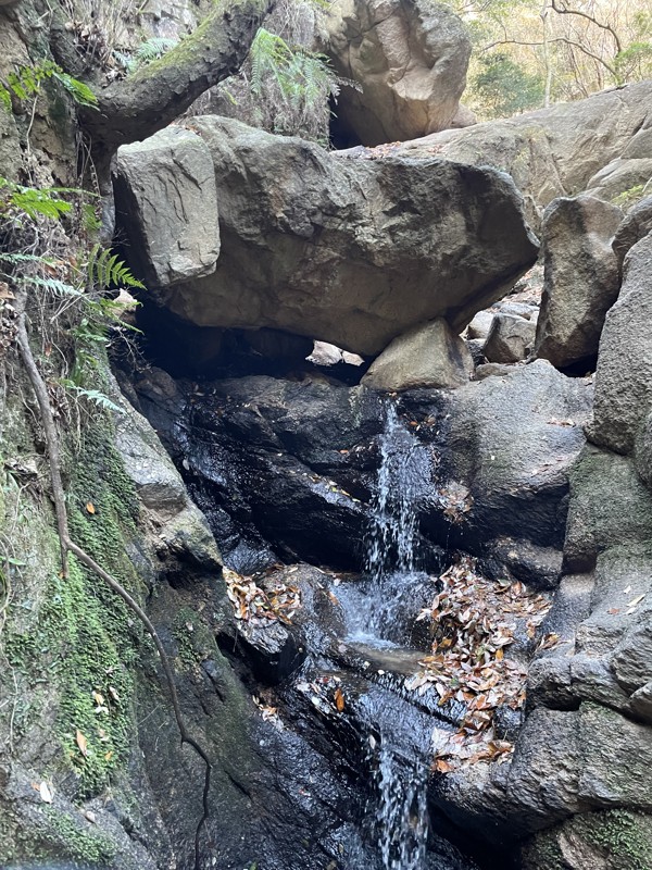 確か？地獄谷・・