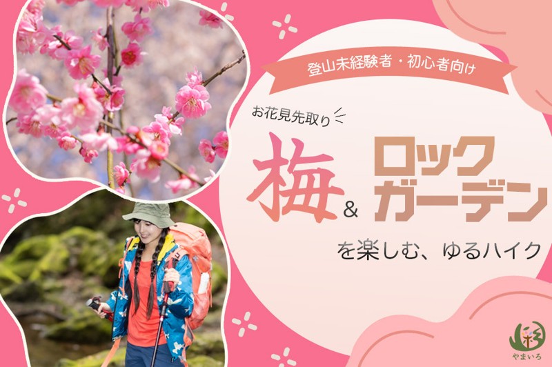 参加者募集中♫