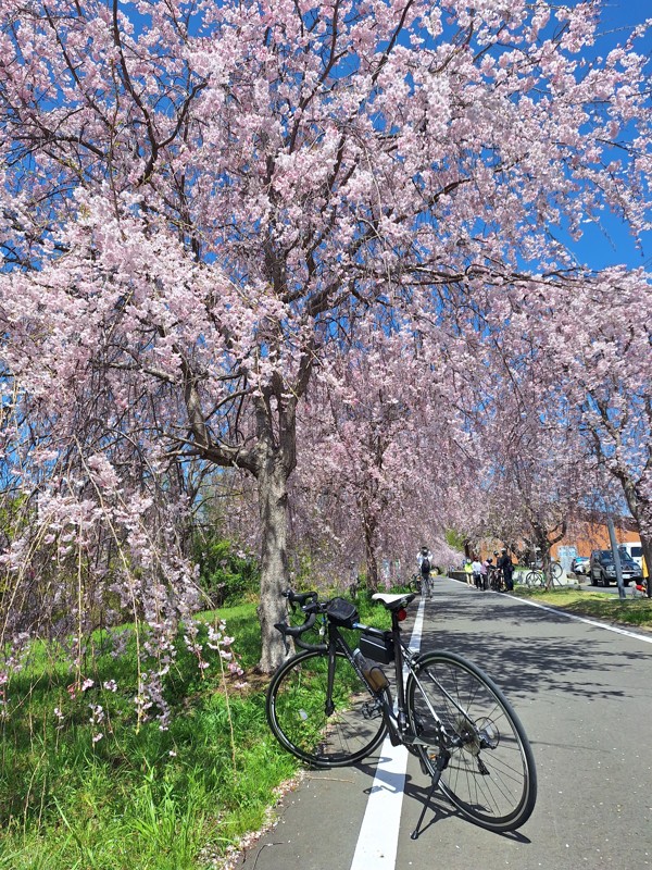 春ライド🌸