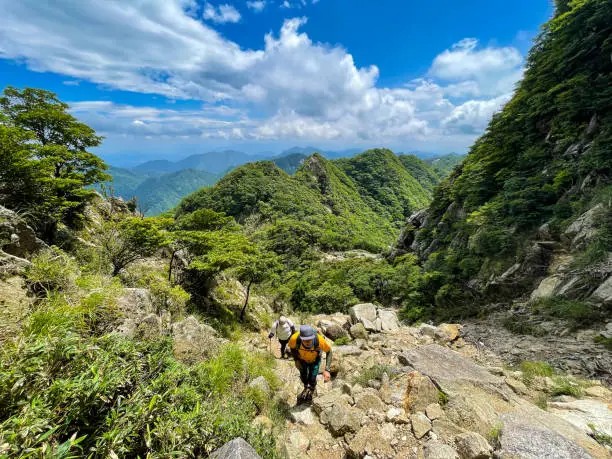 夏の登山道