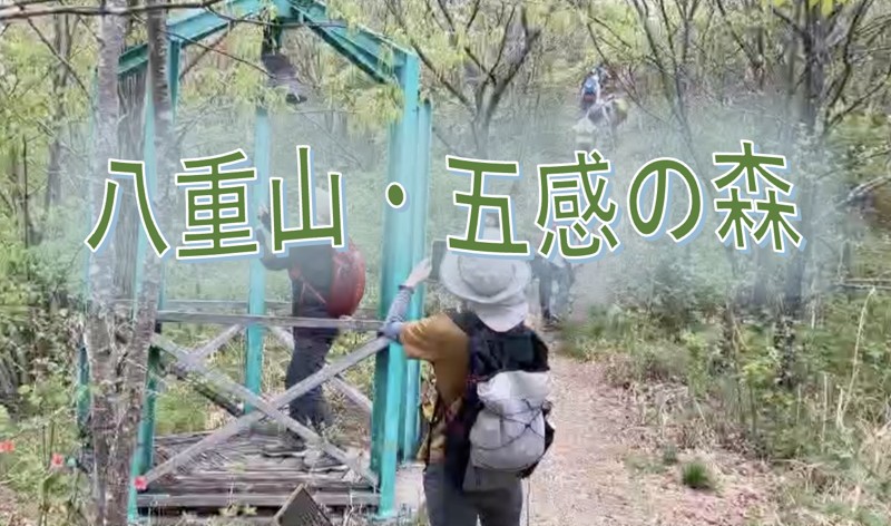 八重山・五感の森の鐘をならす