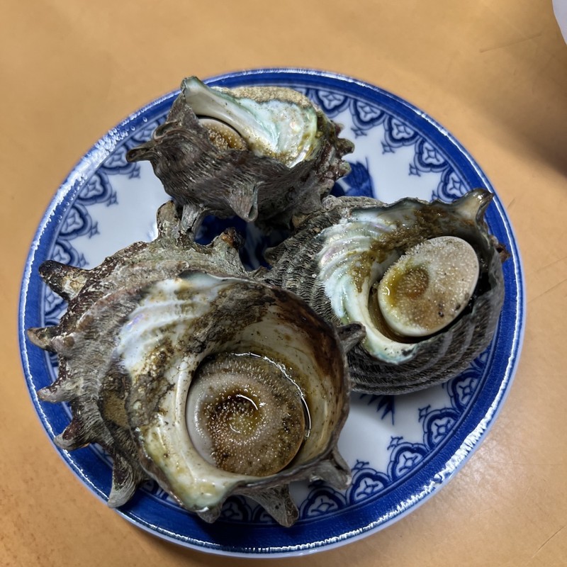 唐津オルレ　極上サザエ