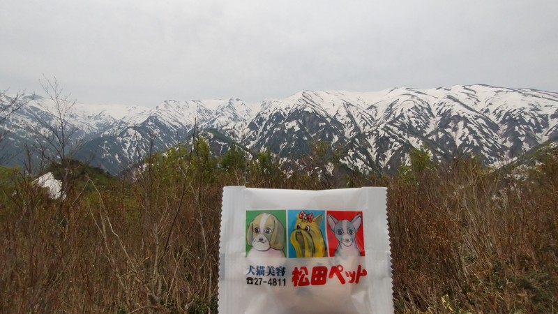 202505 倉手山とマツダＰ