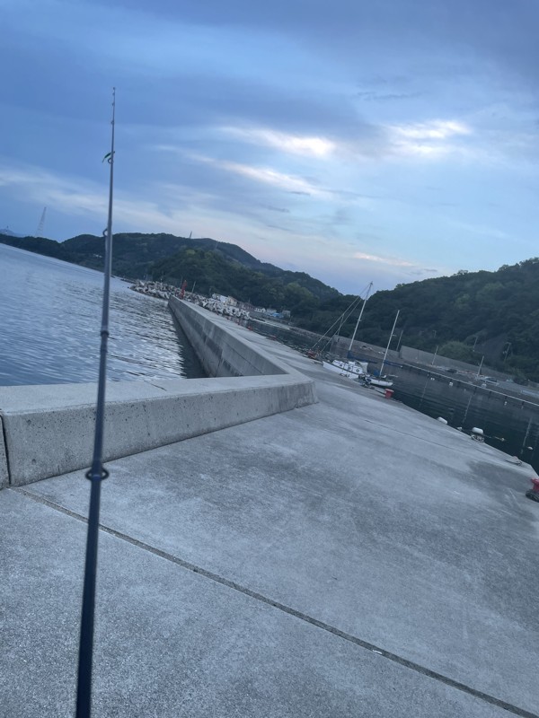 アジング難しい…