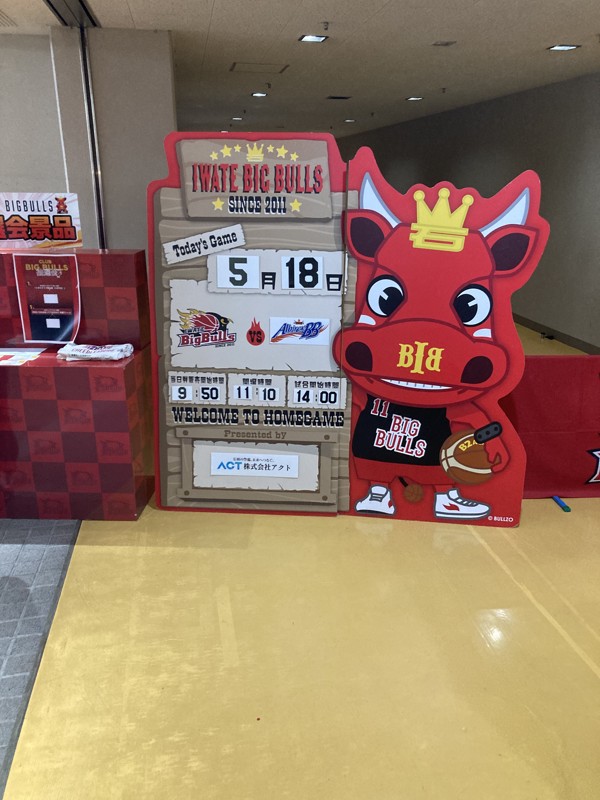 最近ブルズにどハマりしてます✌