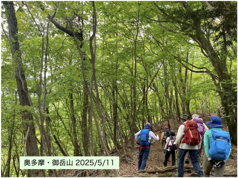 新緑の奥多摩・御前山