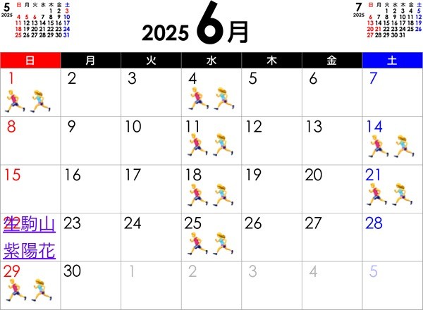 6月ランニングスケジュール