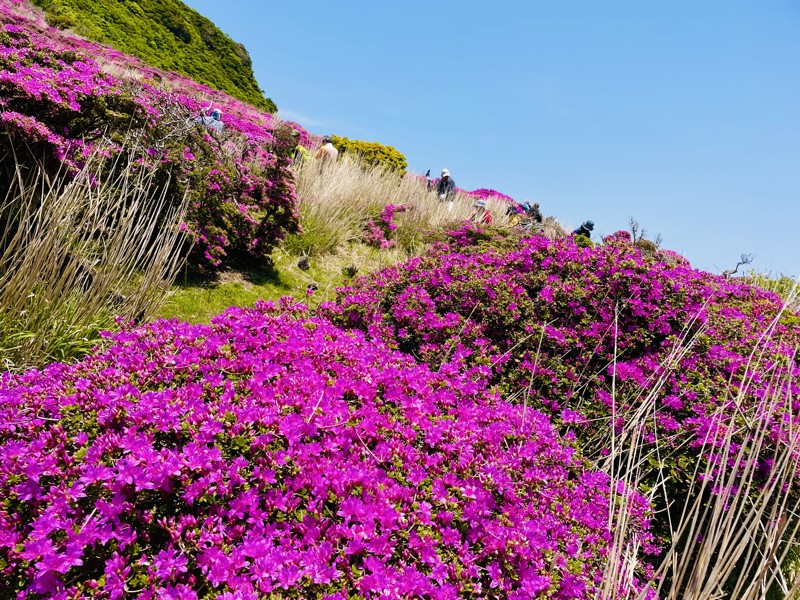 九重　平治岳