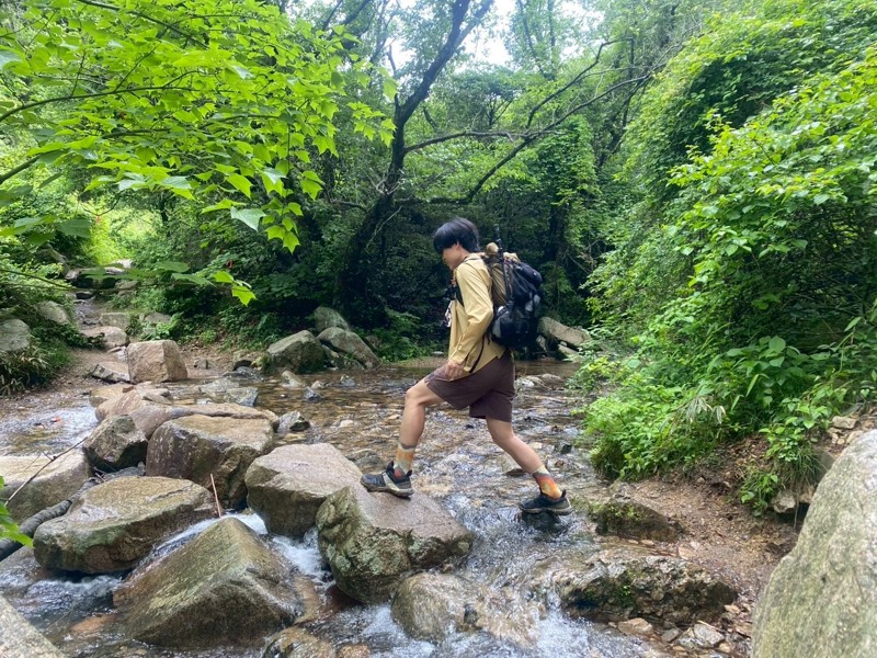 六甲山定番コース
