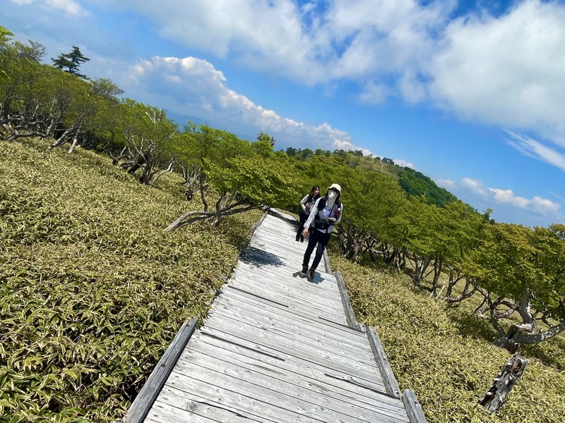 大台ケ原
