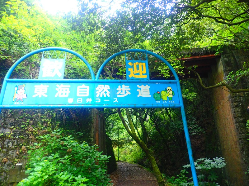 第41弾は東濃touring