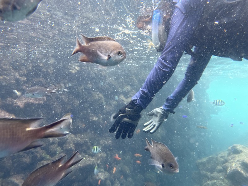 ヒリゾ浜でシュノーケリング