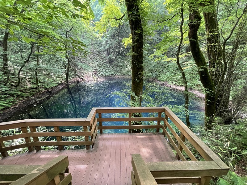 白神山地の青池