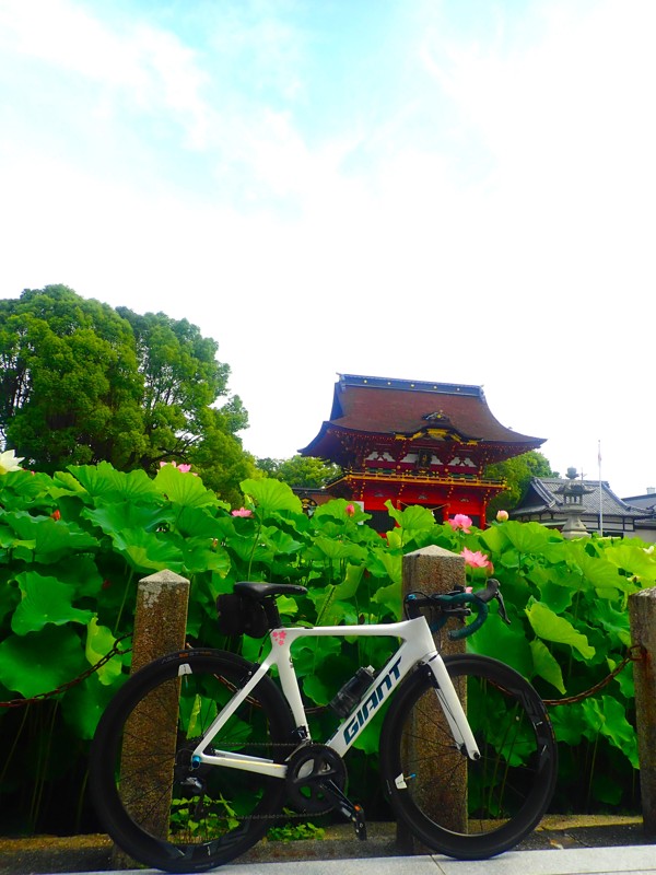 第164弾は岡崎ride！