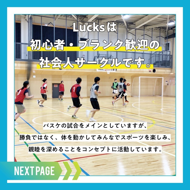 レベル分けあり初心者も安心🔰