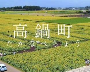 高鍋町