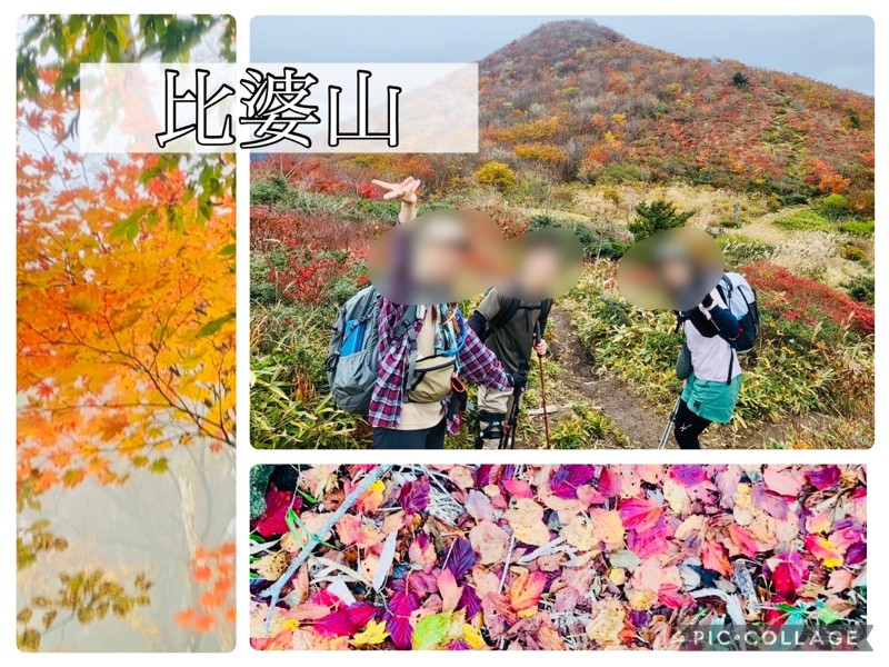 紅葉が綺麗🍁