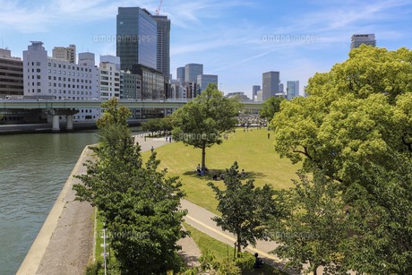 中之島公園　芝生が気持ちいい！