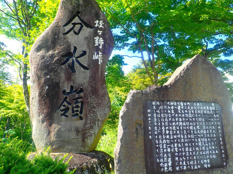 郡上Walking