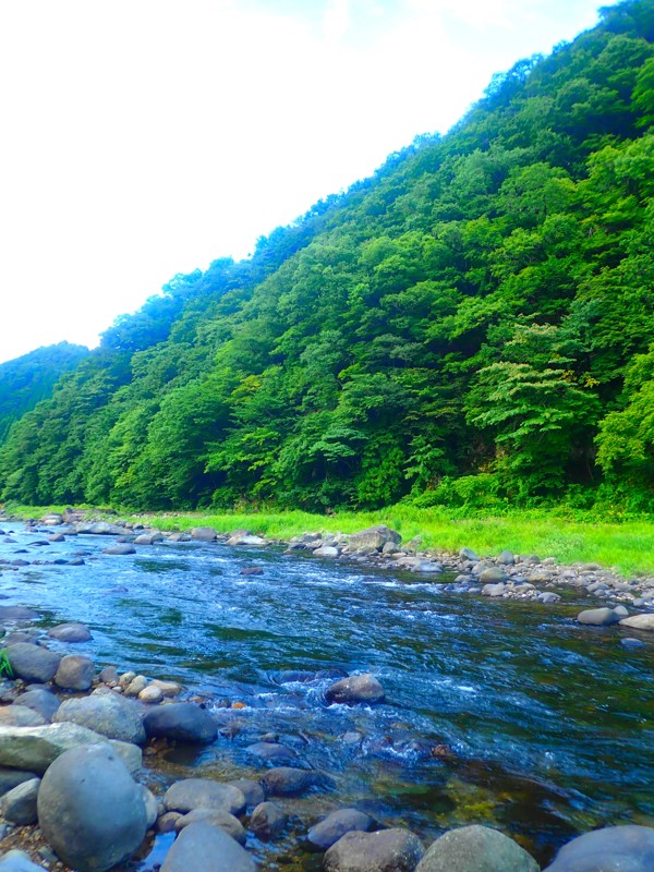 郡上Walking