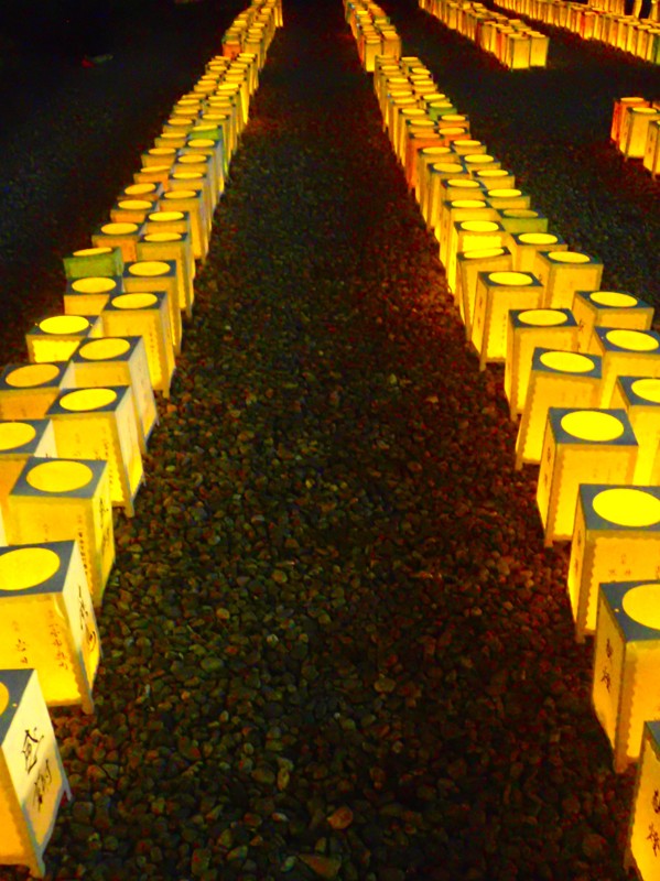 献灯祭walking