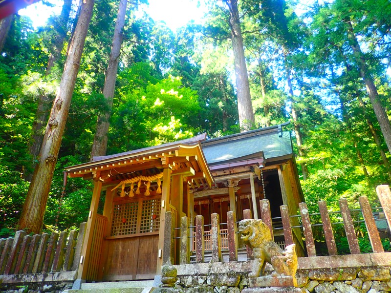 第44弾は廃村touring