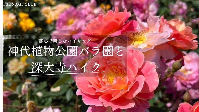 10/18 神代植物公園バラ園