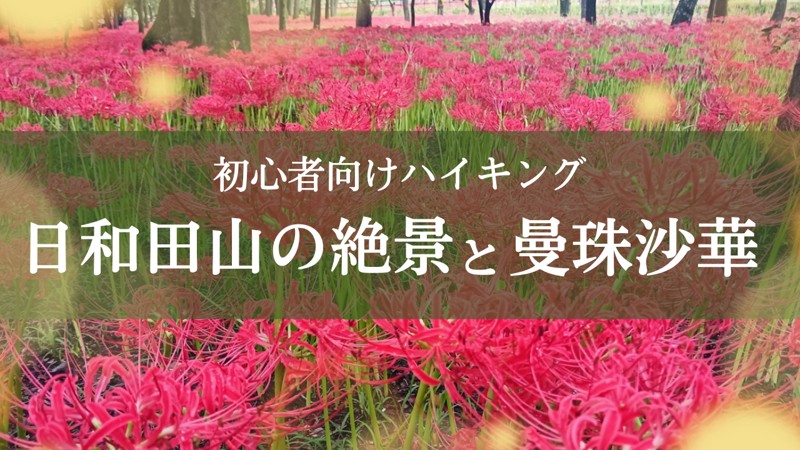 9/28 日和田山と曼珠沙華