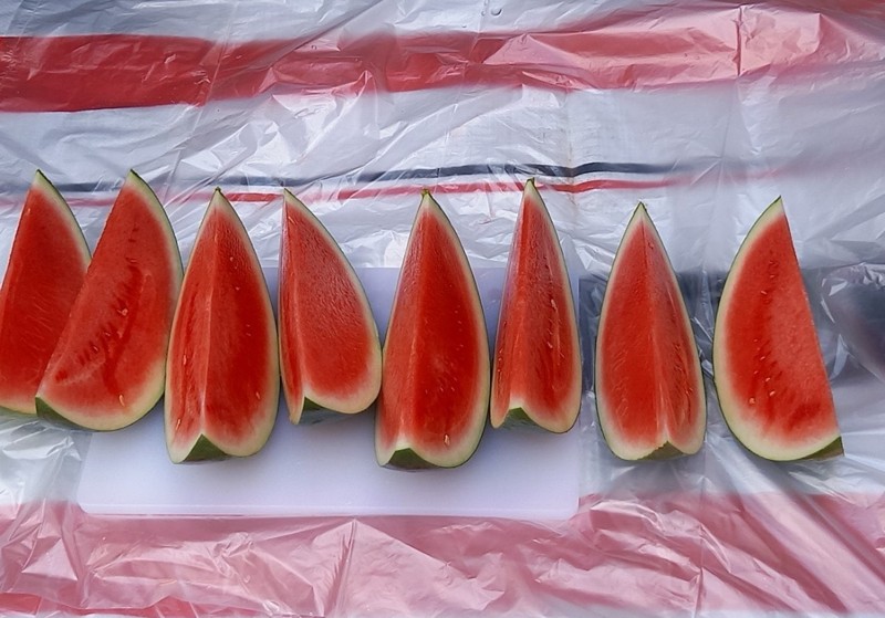 水遊びのあとはスイカですね