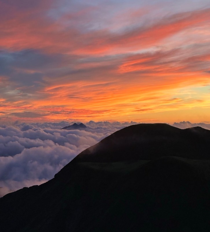 息をのむ美しさ