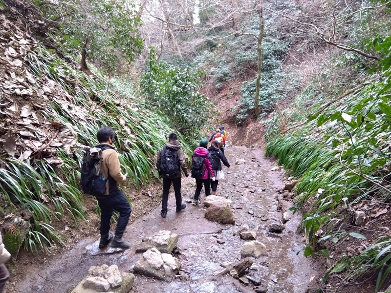 高尾山ハイキング