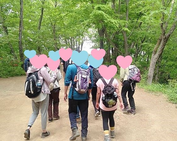 緑の中をハイキング